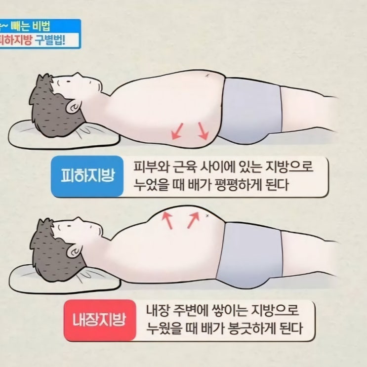 [2주 다이어트] D-13 체지방 방 빼자 (다이어트 2일차)