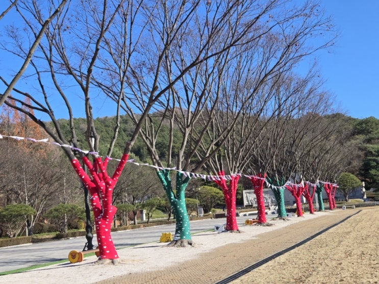  차가운 일요일아침 신정호 나들이