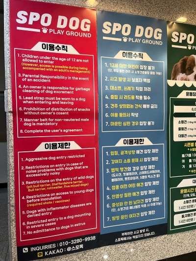 사진 4