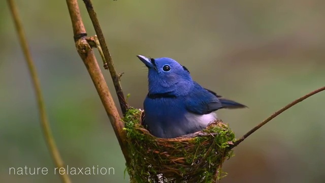  부동산 하락 원인 , 부동산자산관리전문가 부동산자산관리사자격증 온라인으로 합격 전략