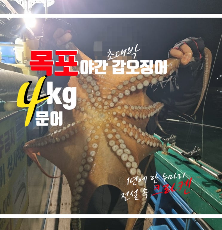  목포 야간 갑오징어 낚시 중 4kg 문어 출현 with 황성피싱