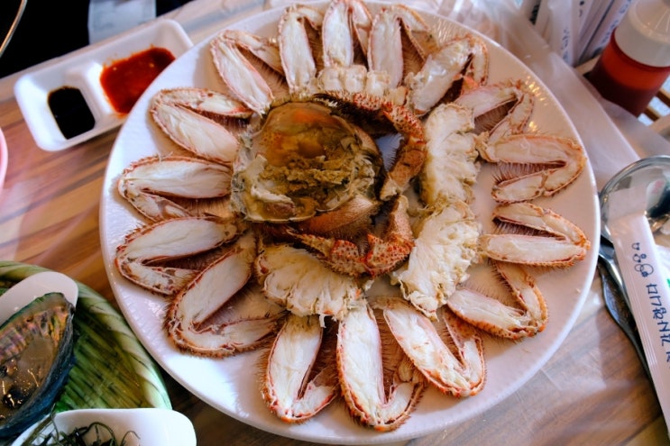  회포장 가능한 대게 맛집이라고 소개받은 현희네 속초 대포항 횟집에서 털게 먹고 감동한 후기
