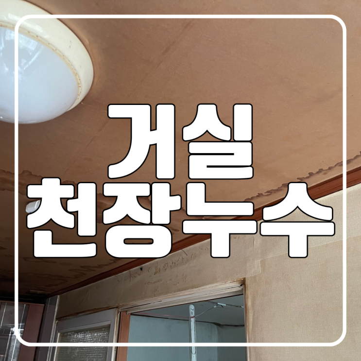  수원 주택 거실 천장 누수 벽지 도배지 젖고 전등 망가진 집