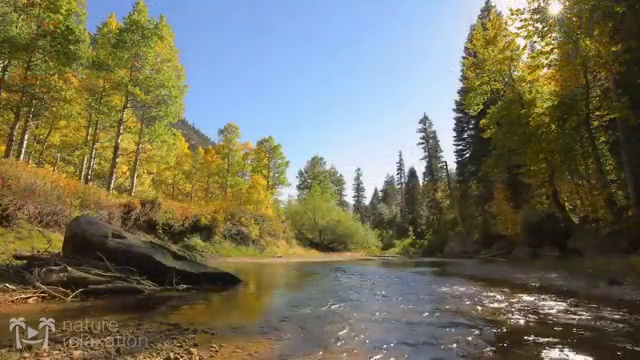  건물관리사 1급 , 집합건물관리사자격증 취득한 방법 , 취업후기