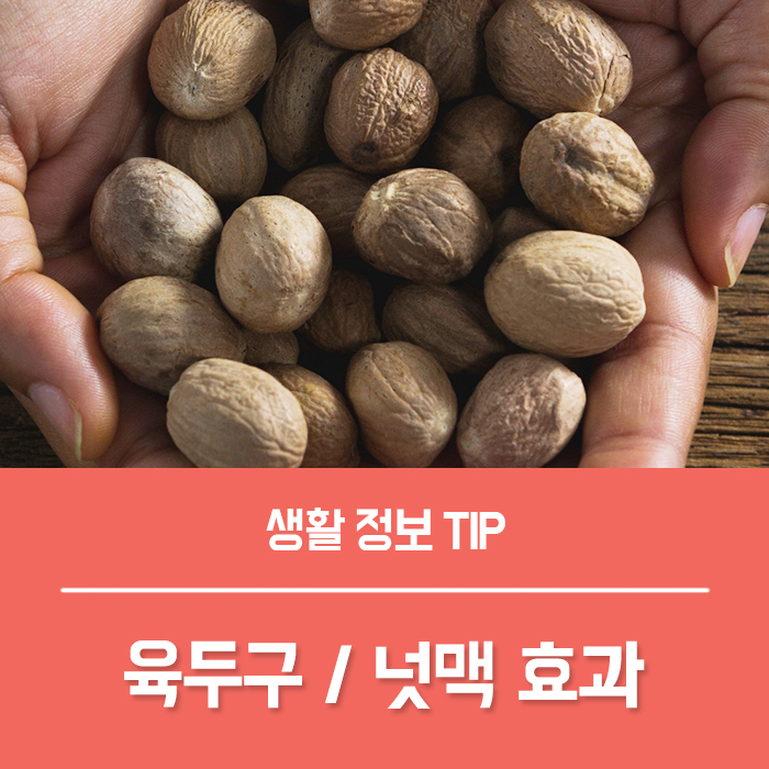  육두구 넛맥 오일 효과 부작용 먹는법은?