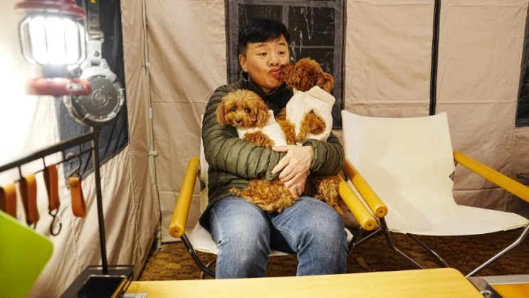  [파주 애견동반 펜션] 파파홈 파주점 2층 객실 후기 | 반려견과 함께하는 프리미엄 숙박