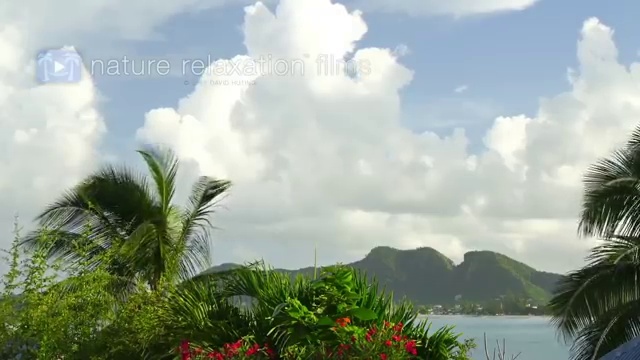 병원코디네이터교육 , 병원코디네이터 자격증 학습한 후기 확인하세요