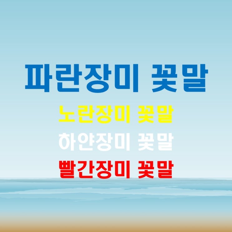  파란장미 꽃말 (feat. 노란 빨간 장미 흰 하얀 장미 꽃말)