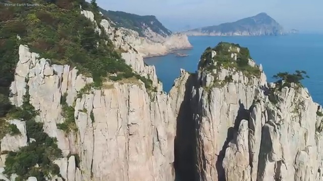  수산물품질관리원 자격증 , 빠르게 따는 법