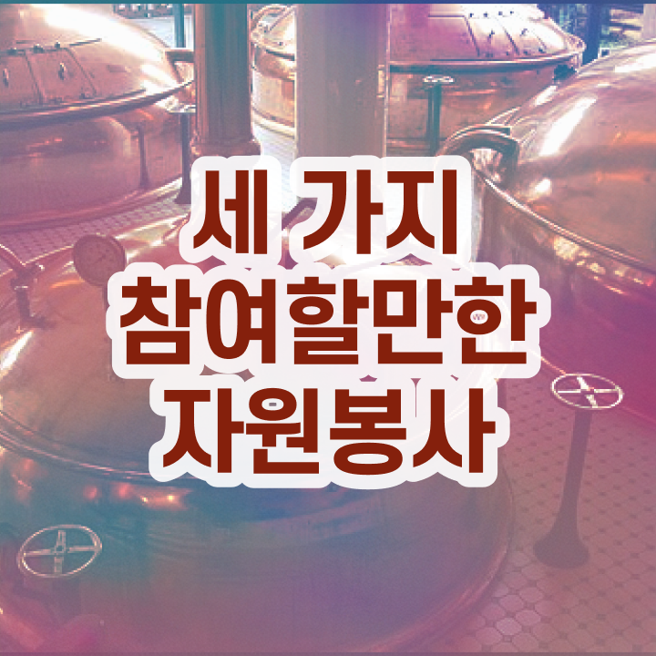  , 자원봉사지도사 자격증 한달 만에 취득한 정보 핵심 공개