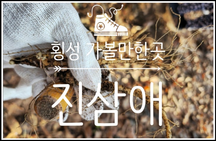  특별한 체험을 할 수 있는 아이와 횡성 가볼만한곳 진삼애
