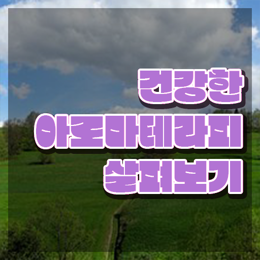  아로마뷰티diy지도사 필기응시자격 , 아로마뷰티DIY지도사 자격증 쉽고 빠르게 합격한 팁 요점정리