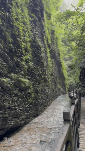  [24.07 Zhangjiajie, China] 아빠 칠순기념 가족여행 장가계 3일차 (보봉호수, 황룡동굴, 장가계대협곡)