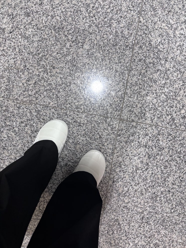  푸마 터프 패디드 FS 내돈내산 후기 (사이즈 팁)