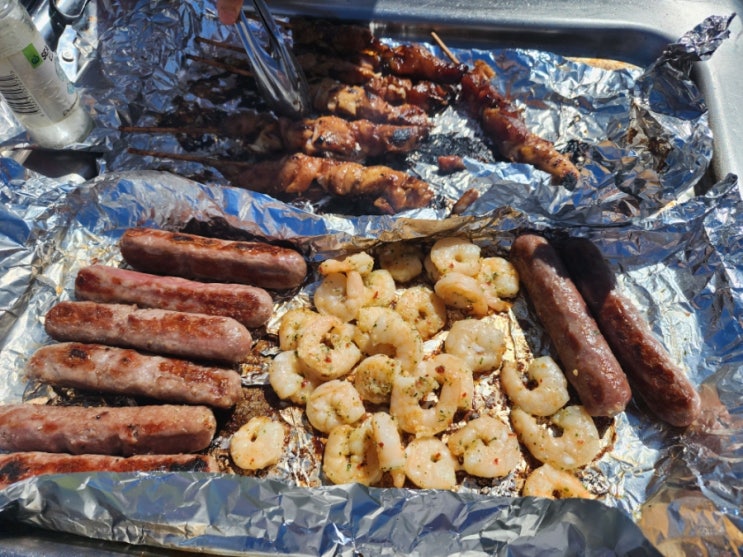  2024. 12. 08 (일) [호주 TGV] BBQ 파티 & 배구실패 & 트리그 비치 & 케밥 & 킹스파크