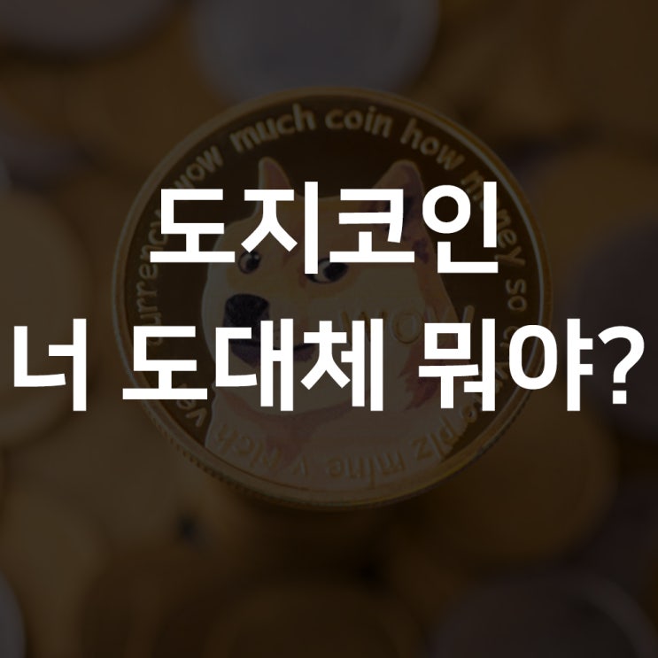  도지코인 폭등 향후 전망, 지금부터 투자해도될까?