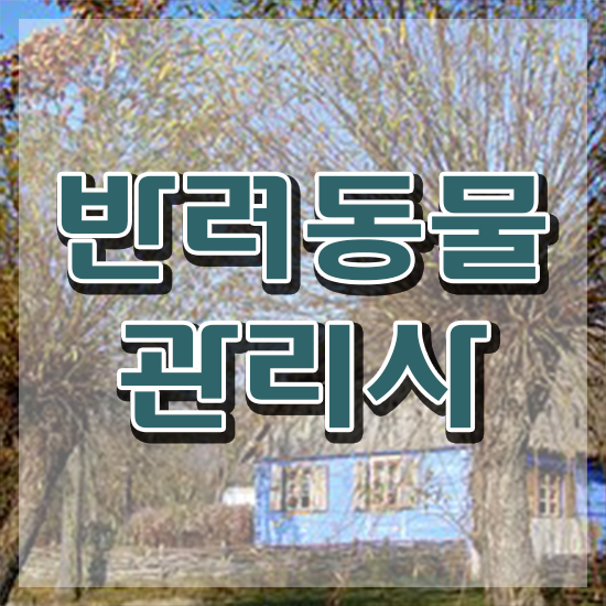  반려동물종합관리사 , 반려동물관리사 자격증 온라인 교육으로 합격정보 및 활용 방법