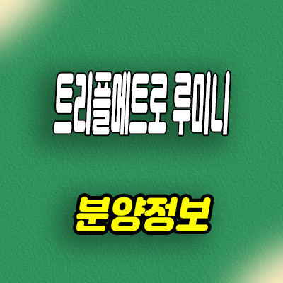  시흥시청역 주거용 오피스텔 장현동 트리플메트로 루미니 분양가 잔여세대 줍줍
