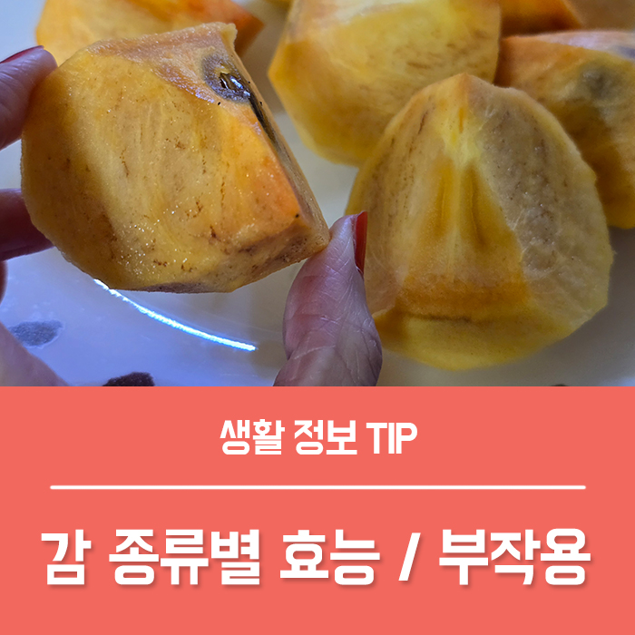  감효능 단감효능 홍시효능 곶감 부작용 감 1개 칼로리는?