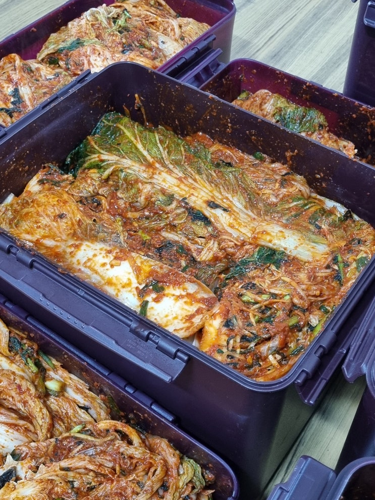  시원하고 깔끔한 김장김치 담그는 법 재료 및 과정 총 정리