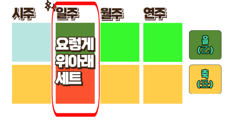 을축일주, 을목일간. 2025년 을사년은?