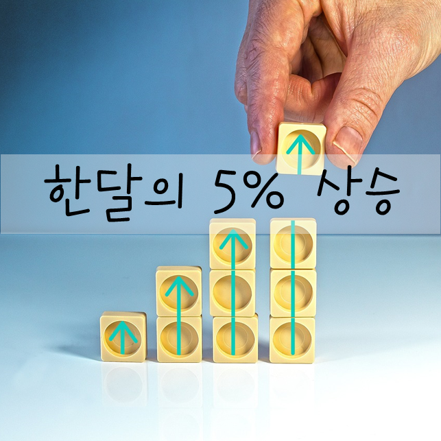  [주식]24년 11월 연금저축펀드 결과