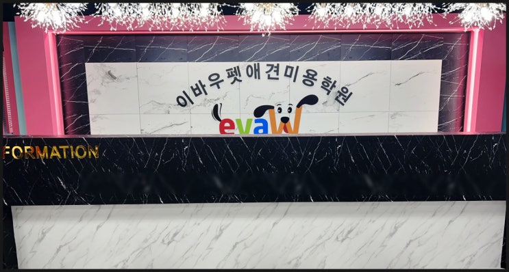 역삼동 애견미용학원 이바우펫 기술과 경험 위주 교육과정