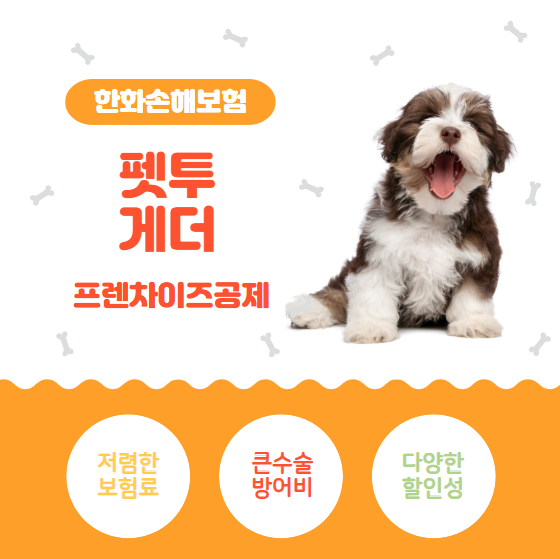 한화손해보험 펫보험 청구하는법 (feat.프렌차이즈공제)