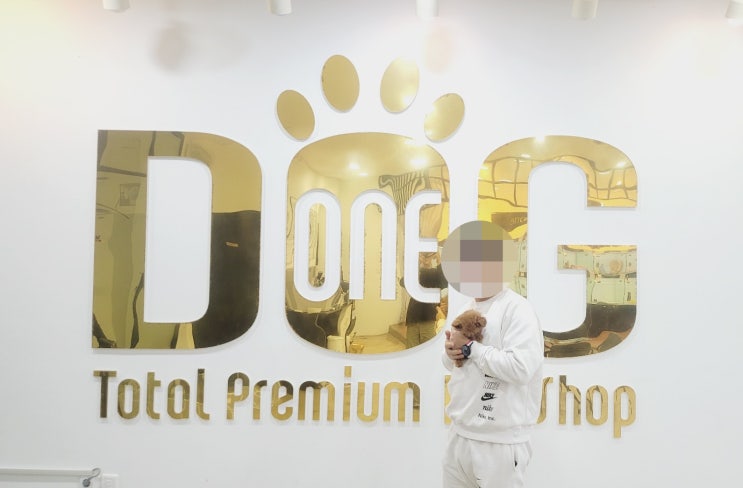  세종시 강아지 분양 전문 애견분양 센터 원독,토이푸들 분양 완료  따님에게 특별한 선물이 된 행복한 만남 