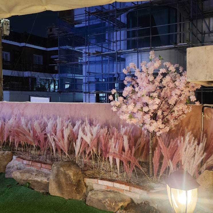  봄 부산 여행 계획 추천