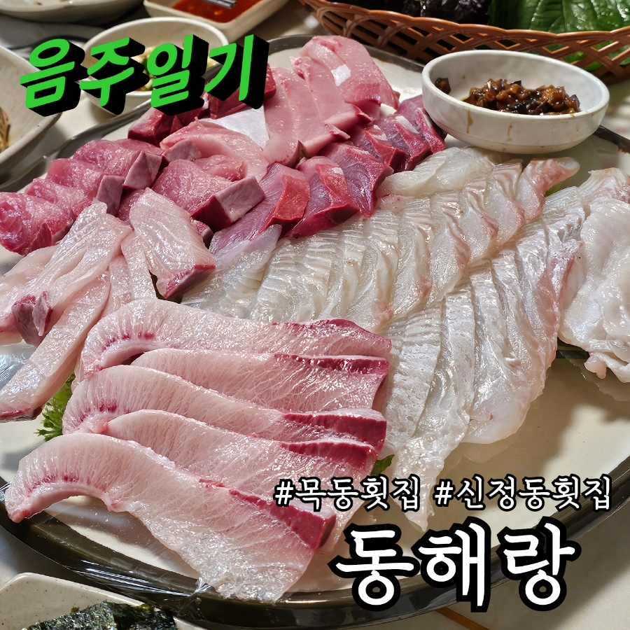 동해참가자미 사진 1