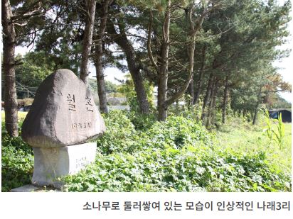 연대산 사진 4