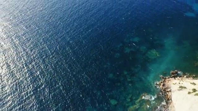  , 바리스타 자격증 준비한 방법 총 정리