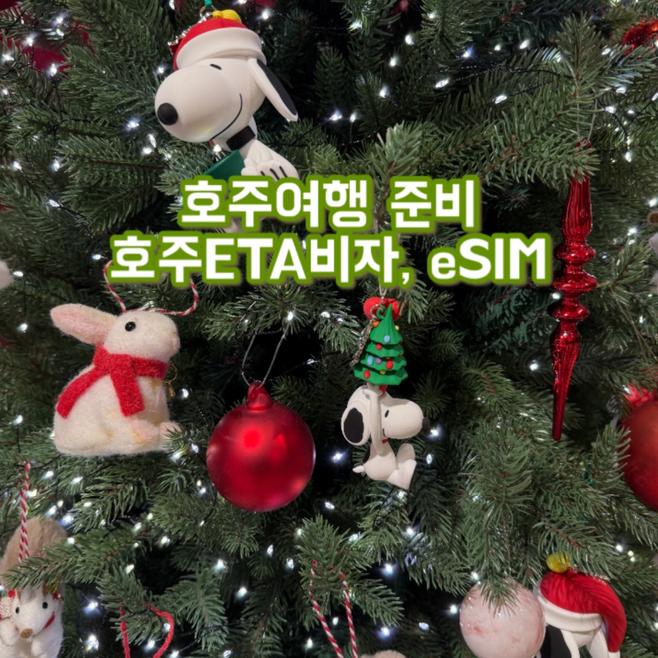  호주여행준비 호주ETA비자 신청 방법 / 여행자보험 / 호주 이심구매 (feat. 유심사 20% 할인)