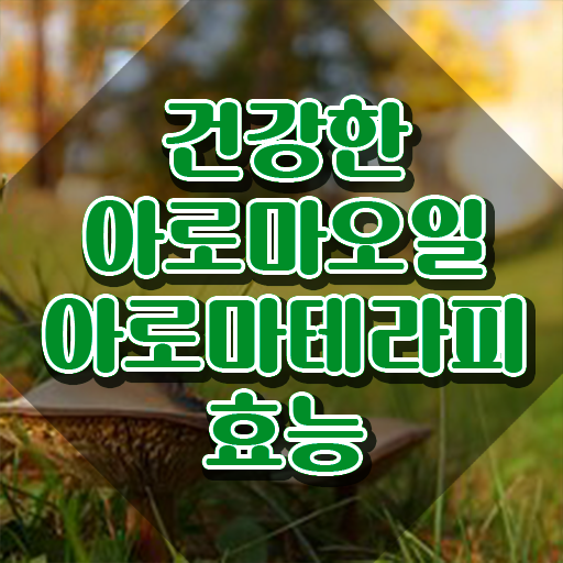  아로마뷰티diy지도사 인증 , 아로마뷰티DIY지도사 자격증 준비한 방법 정보 퍼펙트 요약