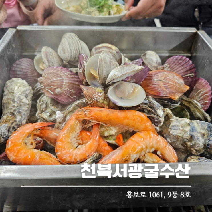  보령 천북굴단지맛집 서광굴수산 푸짐하고 신선한 굴찜