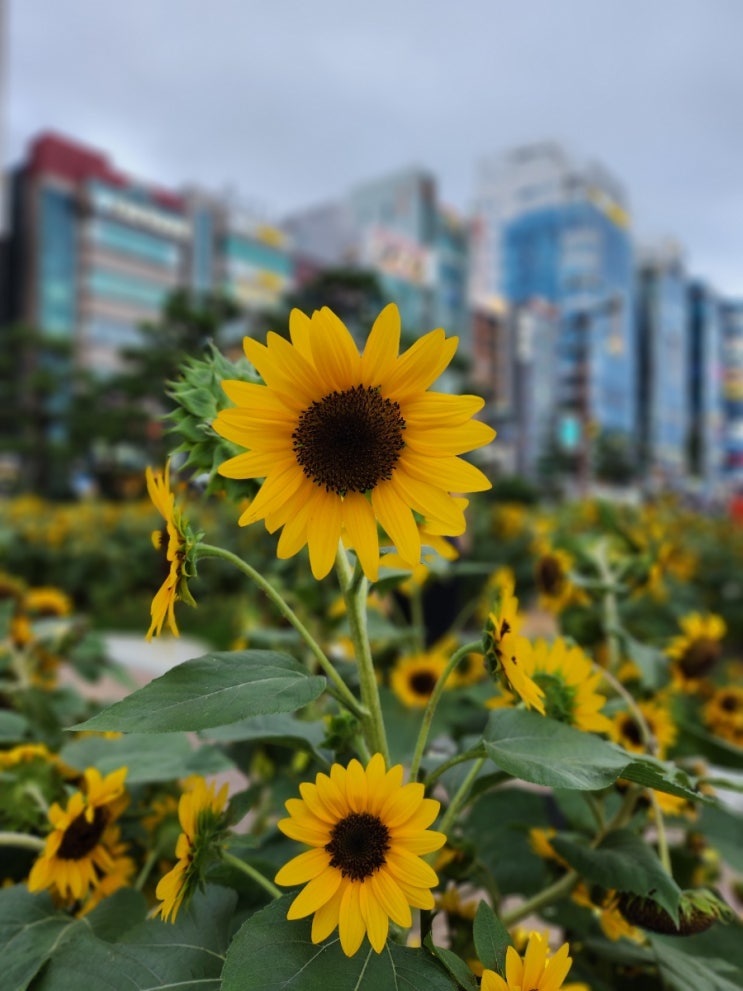  여름 부산 여행 수영구 코스 추천