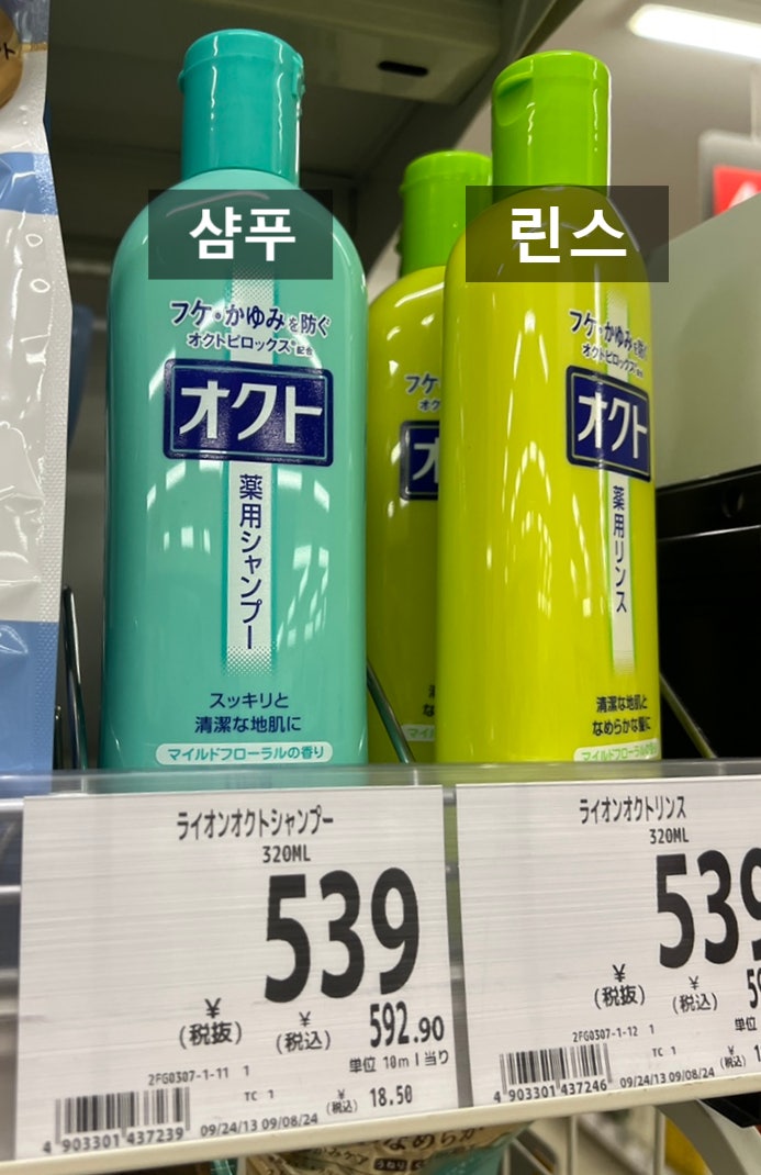 지성두피용샴푸, 일본 오쿠토 샴푸 지루성 두피 케어