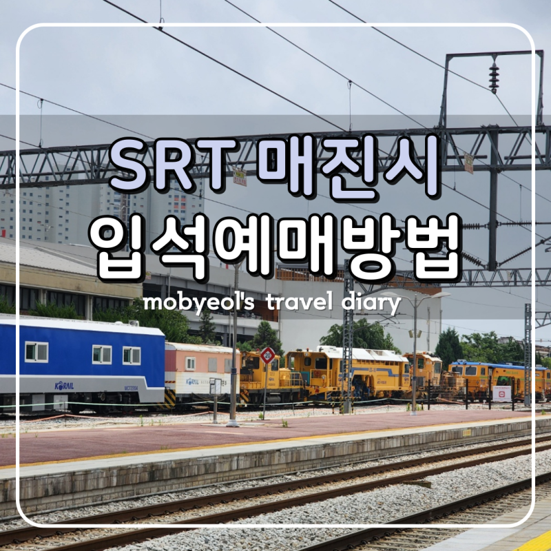 SRT 좌석 매진시 입석예매 꿀팁 (입석/연장발권/무임승차/취소표)실제후기