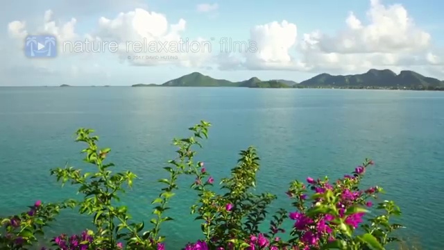  용인시 수지구 성복동 SK 매직 올인원 최저가보장 진행 꿀팁 현명한 선택의 기회!