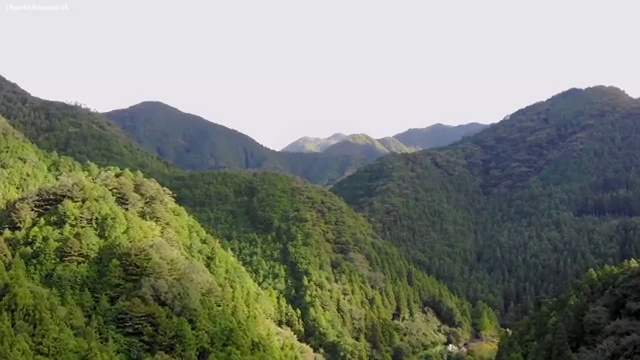  동화구연목표 , 동화구연지도사 자격증 온라인으로 간단히 합격한 팁 소개