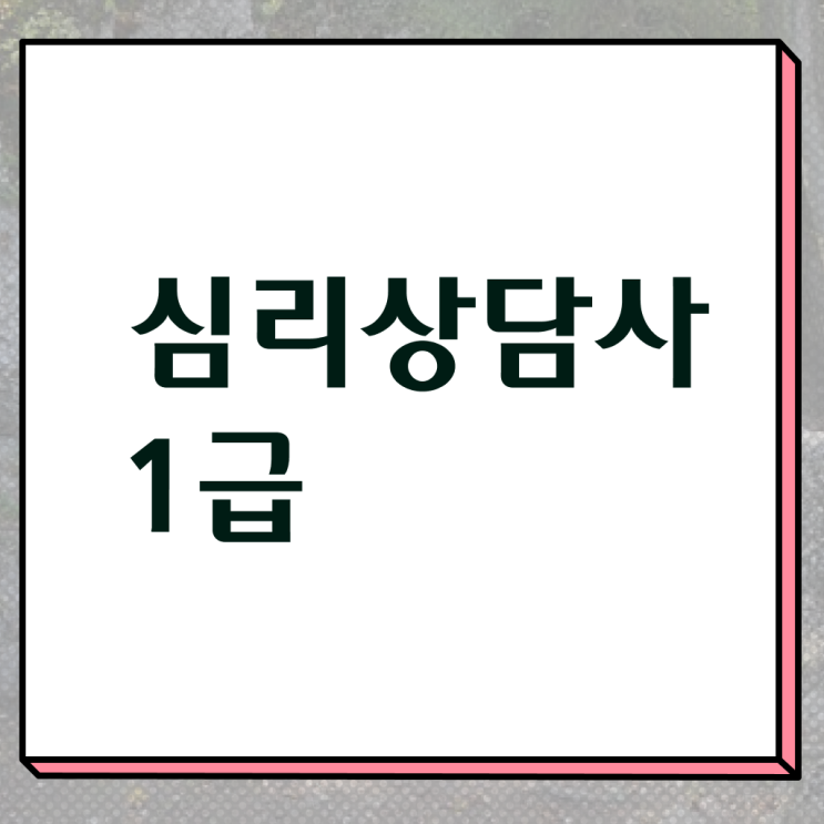  , 심리상담사 자격증 1달 만에 취득했던 후기 , 취업정보