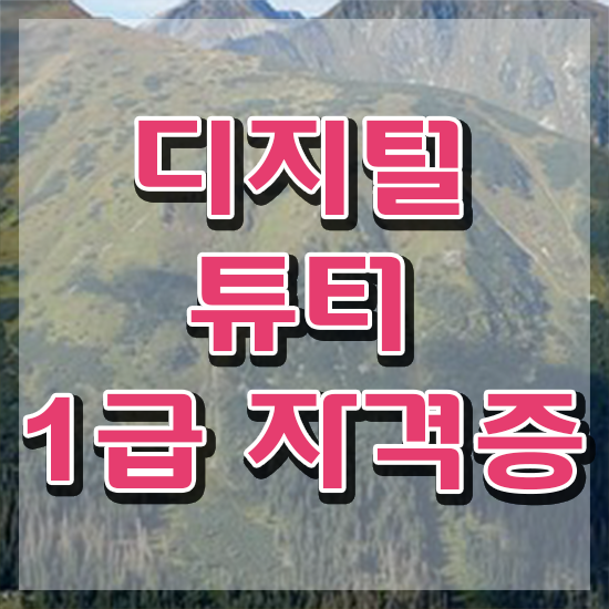  디지털 문해 교육 , 디지털튜터 자격증 한달 만에 취득한 정보 확인하기