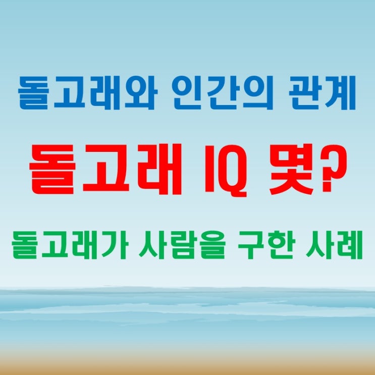  돌고래아이큐 돌고래가 사람을 구해준 사례