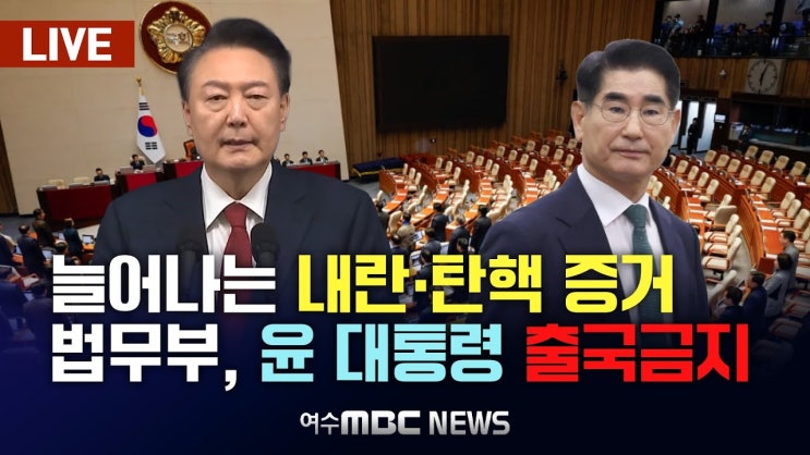 출국금지·긴급체포 <b>검토</b>... 오늘 <b>구속영장</b>/민주, <b>추경호</b> 제명... 