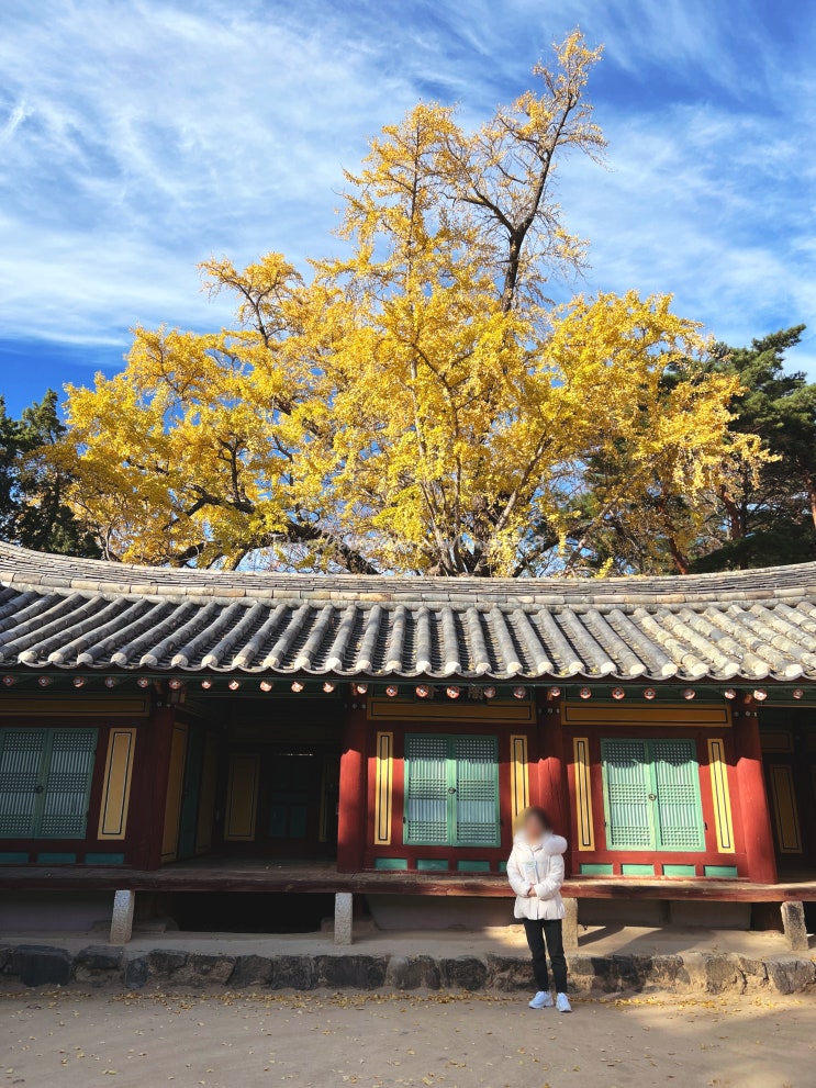  경주 역사 여행 유적지 가볼만한곳 옥산서원 우리나라 문화유산