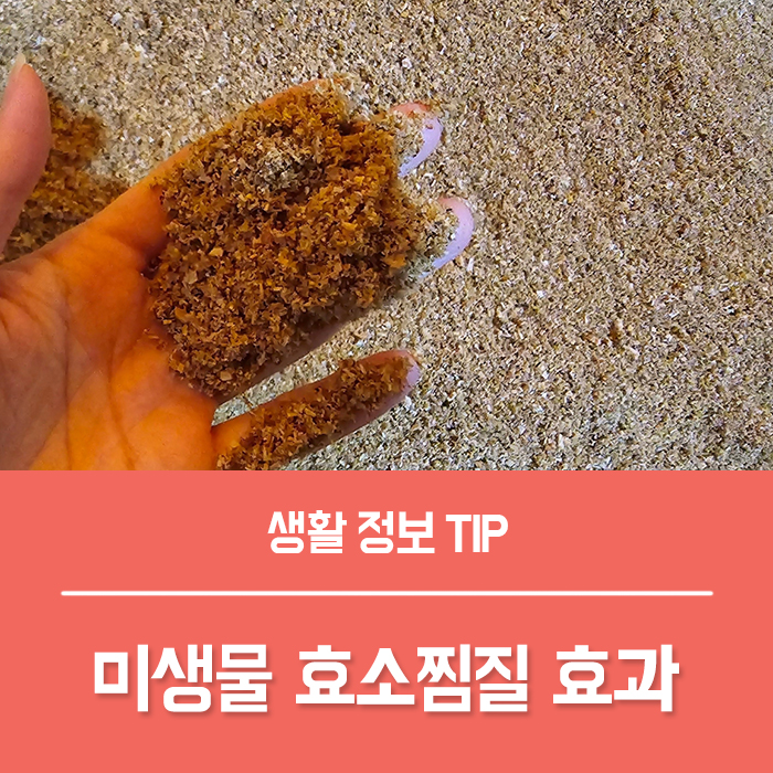  미생물 효소찜질 효과 효소욕 뜻, 온찜질 하는법