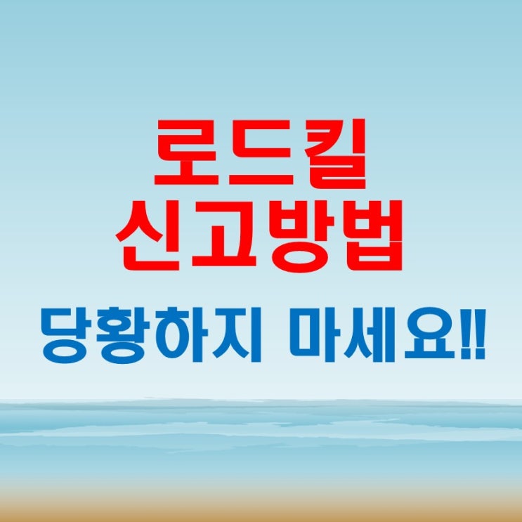  로드킬신고 방법 고양이 강아지 야생동물 등 놀란가슴 진정하시고 신고하세요.
