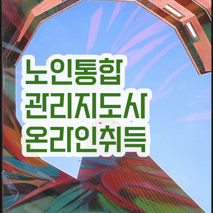  노인미술지도사 , 노인통합관리지도사 자격증 쉽고 빠르게 학습한 후기 핵심 정보
