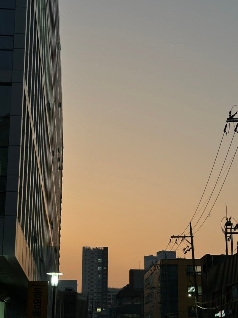 12월 일상 :: 안녕 2024👋 (맛돼 MT, 스키장, 와인바, 크리스마스 홈파티) : 네이버 블로그, image size:800x1067